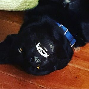 Meet your Posher, Cari